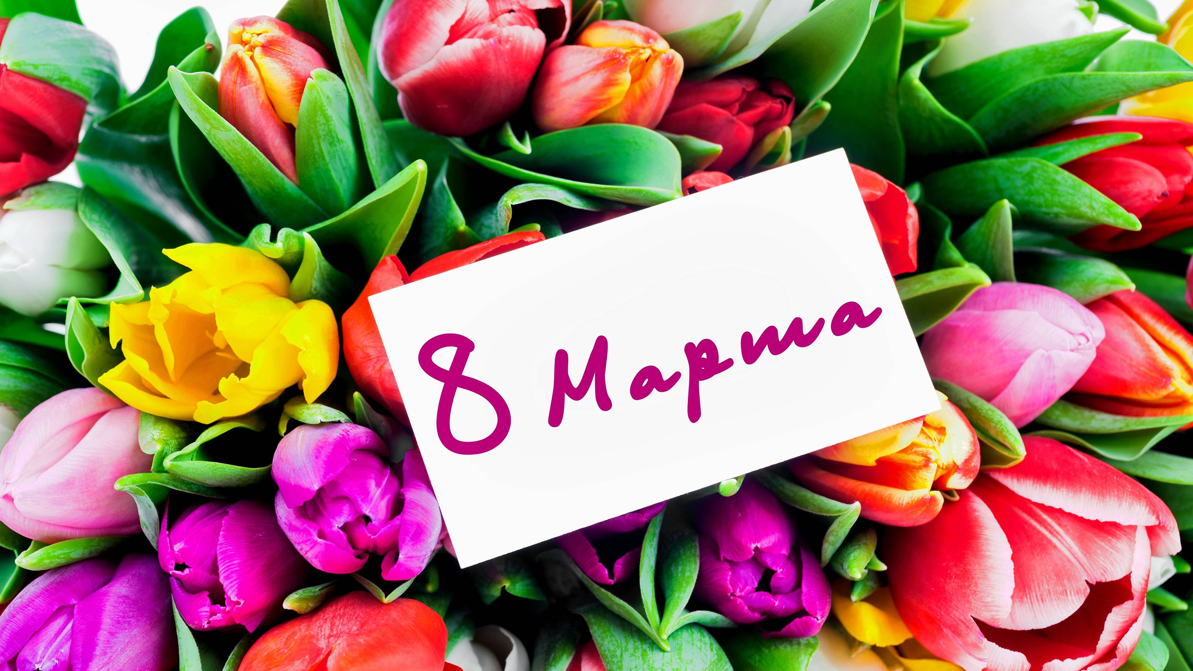 С Международным Женским Днём 8 марта! 🌺 #пожелание #поздравление #поздравлениевстихах