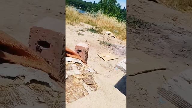 волчок рич смотреть онлайн