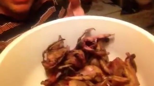 ^8.-от рождения перепелов до ТУШКИ...-03.04.15 смотреть онлайн