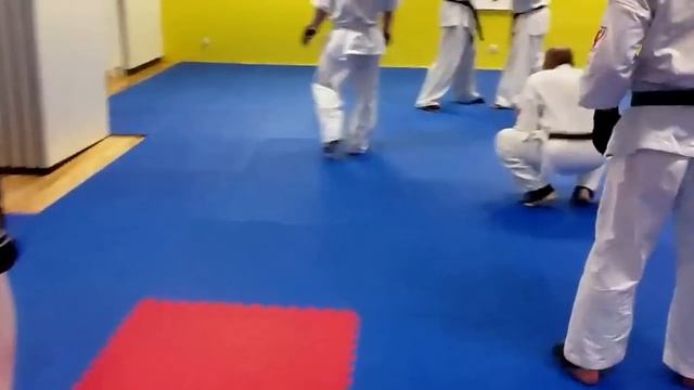 Seminarium kumite z Tomaszem Najduchem смотреть онлайн