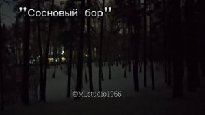 Размышления сибирского мужика по дороге на работу