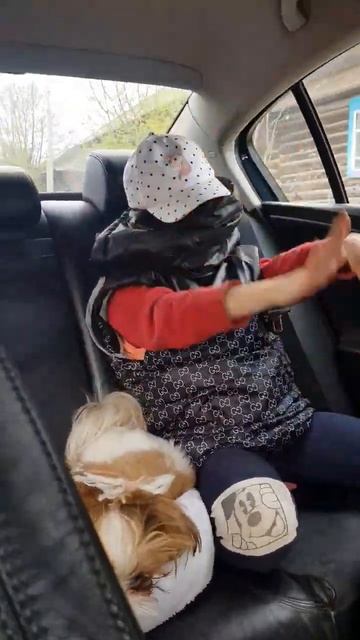 Не платят! обе!!! #дети #приколы #алиса #май #видео #собака #рекомендации смотреть онлайн