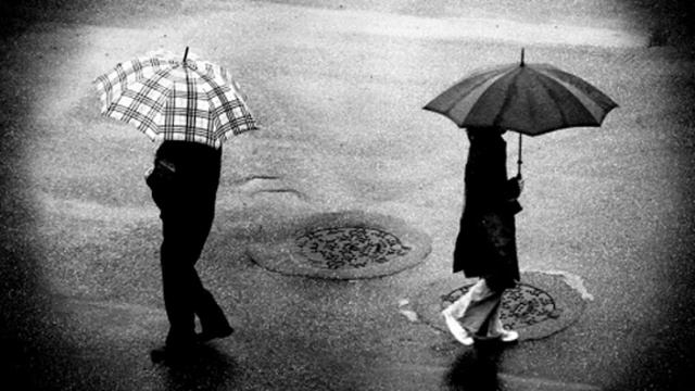 тени кораблей смотреть онлайн