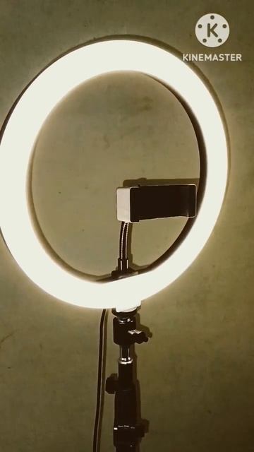 LED Ring light - Our new gadget - Amazon shopping - #shorts смотреть онлайн