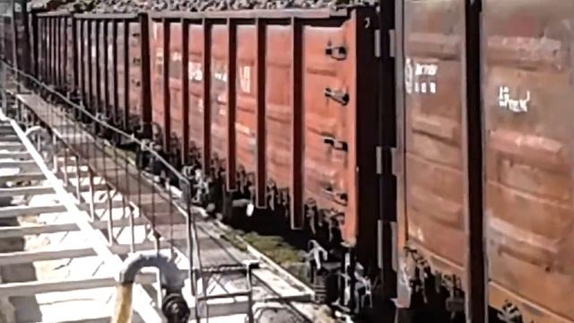 Каинда приемный пункт свеклы на сахарном заводе смотреть онлайн