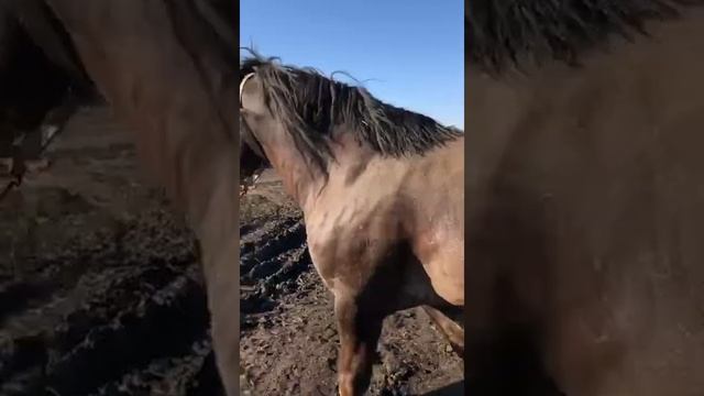 20 октября 2021 г. смотреть онлайн