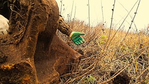 Пять лет искал и вот... Тракторные запчасти, двигатель. Коп металлолома вывожу толковый металл.