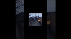 Смешные видео без звука.