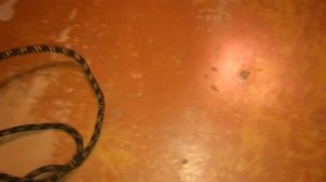 Проводка газ 21