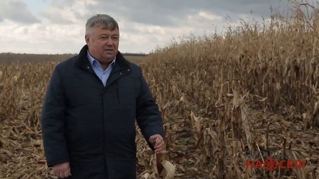 Як зібрати щедрий врожай не рухаючи грунт смотреть онлайн