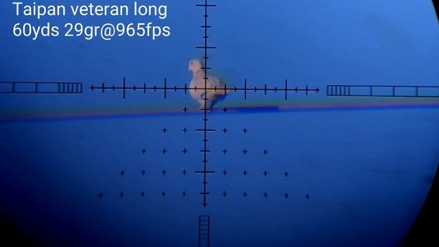 Taipan veteran long .25 смотреть онлайн