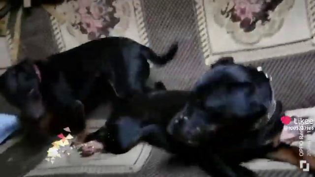 11 января 2024 г. смотреть онлайн