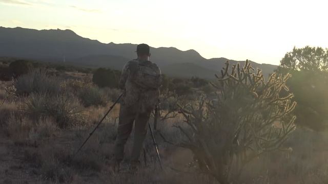 90 ANTELOPE OF A LIFETIME AZ super raffle with HPO