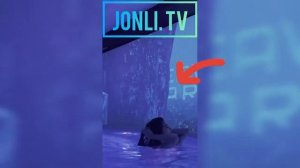 Durdona Qurbonona Zapal vedio 🔞 😱 18+yoshdan kattalar kurmasin