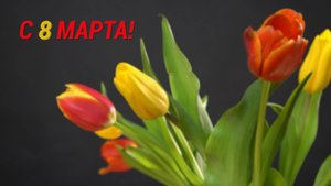 С 8 Марта!