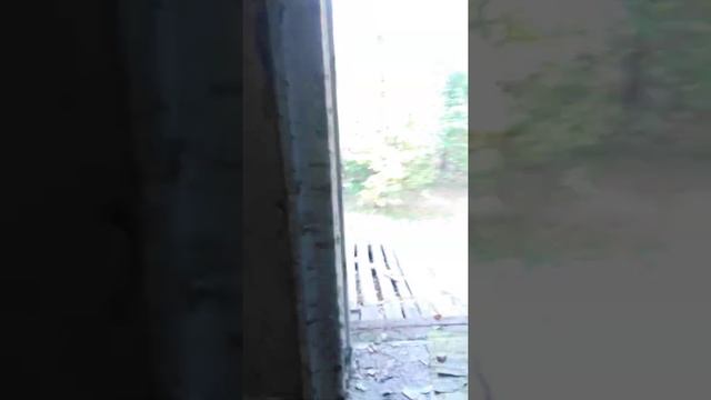 Бурлацкая болница, вид с балкона