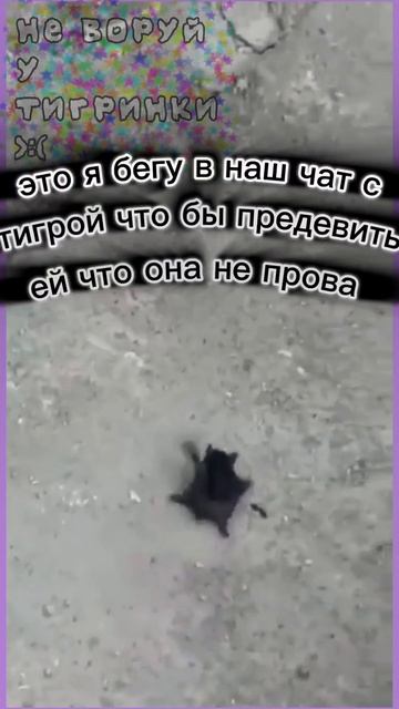 это кстати летучая мышь:) #хзчописать #ятупой смотреть онлайн