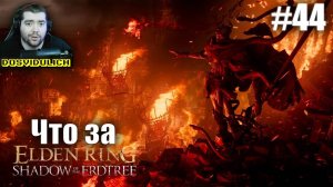 Что за ★ Elden Ring Shadow of the Erdtree Edition #44