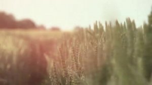 Видео музыка классическая