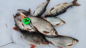 Горе-море, ловля морской плотвы.