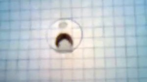 куча 125 хатсана после обрезания ствола