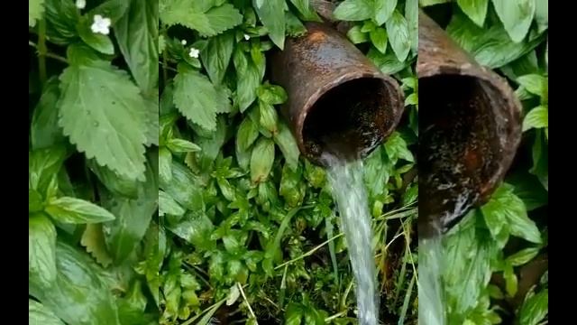 Тамара Джабраилова Негвар смотреть онлайн