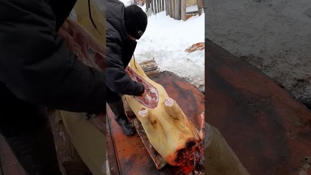 разделка хряка смотреть онлайн