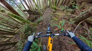 Insane Mountain Bike Shots taken with a GoPro 360 camera!