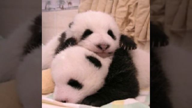 Просто приятно смотреть смотреть онлайн