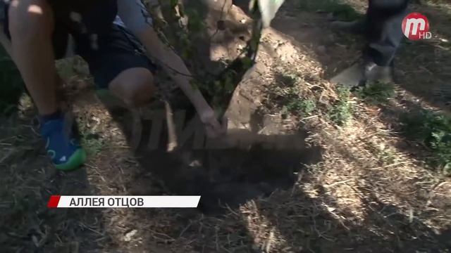 "Аллея отцов" смотреть онлайн