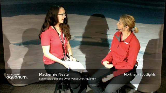 Arctic Talk Show - Mackenzie Neale, Aquarium Biologist and Diver (Northern Spotlights) смотреть онлайн