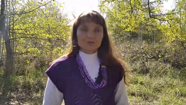 Имя мудреца — Алон (помощь). Мудрецы дольменов.