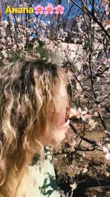 #8марта #жара #2023 смотреть онлайн