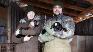 КУПИЛ 2 ДОМА В ДЕРЕВНЕ ｜ ВОТ ТАКОЕ ЧУДО У НАС ПОЯВИЛОСЬ ｜ ЧТО ДЕЛАТЬ ДАЛЬШЕ？!