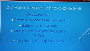 краткая история латинского языка