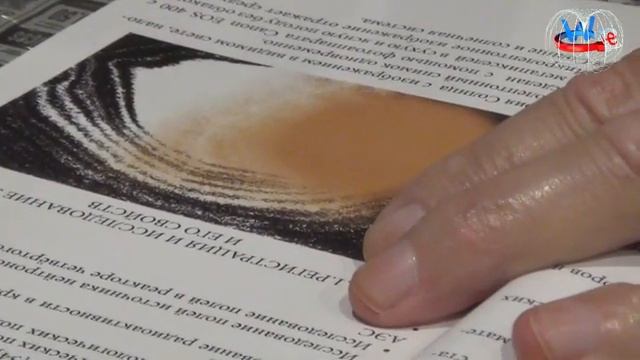 Микролептоны - микролептонные  поля и взаимодействия - Григорий Федорович Савельев