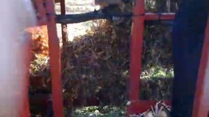 Лукоуборочный комбайн. ЛК - 100.