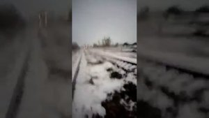 Поезд 379 Камышин Москва на станции Ильмень