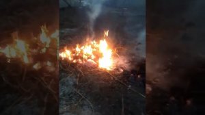 Огонь детям не игрушка