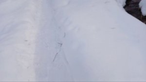 обзор мини площадки