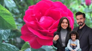 ДОВЕРЕННОЕ 348 серия. ФИНАЛ СЕРИАЛА! Признание в любви!