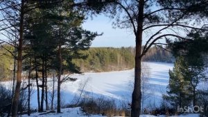 Один в лесной избушке, стройка, рыбалка , готовлю в автоклаве