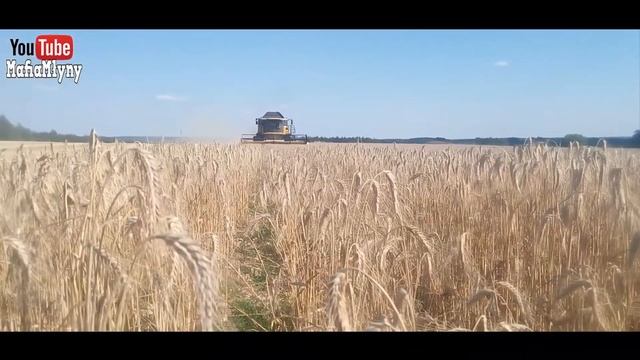 ŻNIWA 2017!! New Holland CX8070!!!& Claas Axion 810 смотреть онлайн