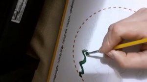 МАД . Сурет салу. Ирек сызықтардан ойыншық жасау.