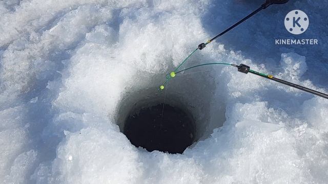 Зимняя куртка ловим ратана.