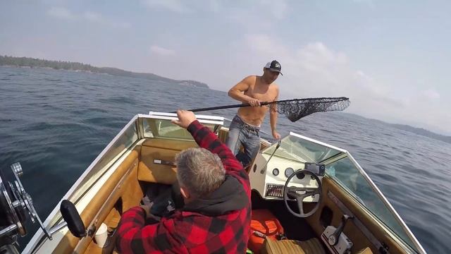 Catching GIANT Lingcod With Live Bait (Vancouver Island) смотреть онлайн
