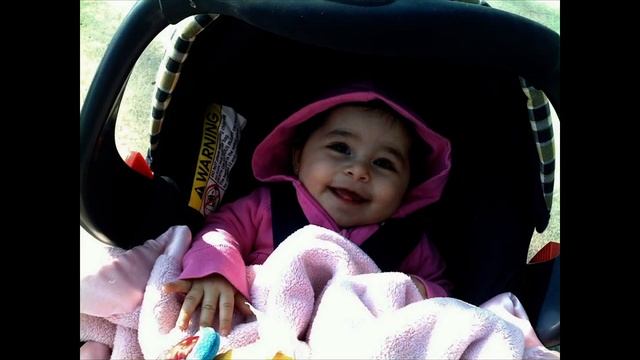 omar and Aseel смотреть онлайн