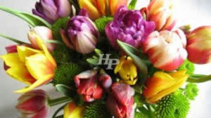 168 лет назад - Прошла забастовка текстильщиц Нью-Йорка, вошедшая в историю как «Марш пустых кастрюл