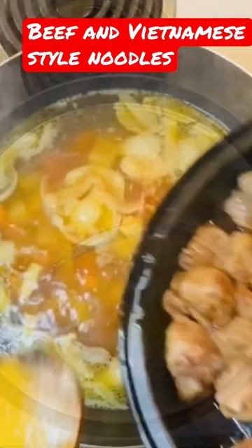 Beef and Vietnamese style noodle soupshorts