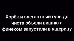 игварь №60 разно буквецы